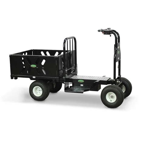 electrical carts for sale